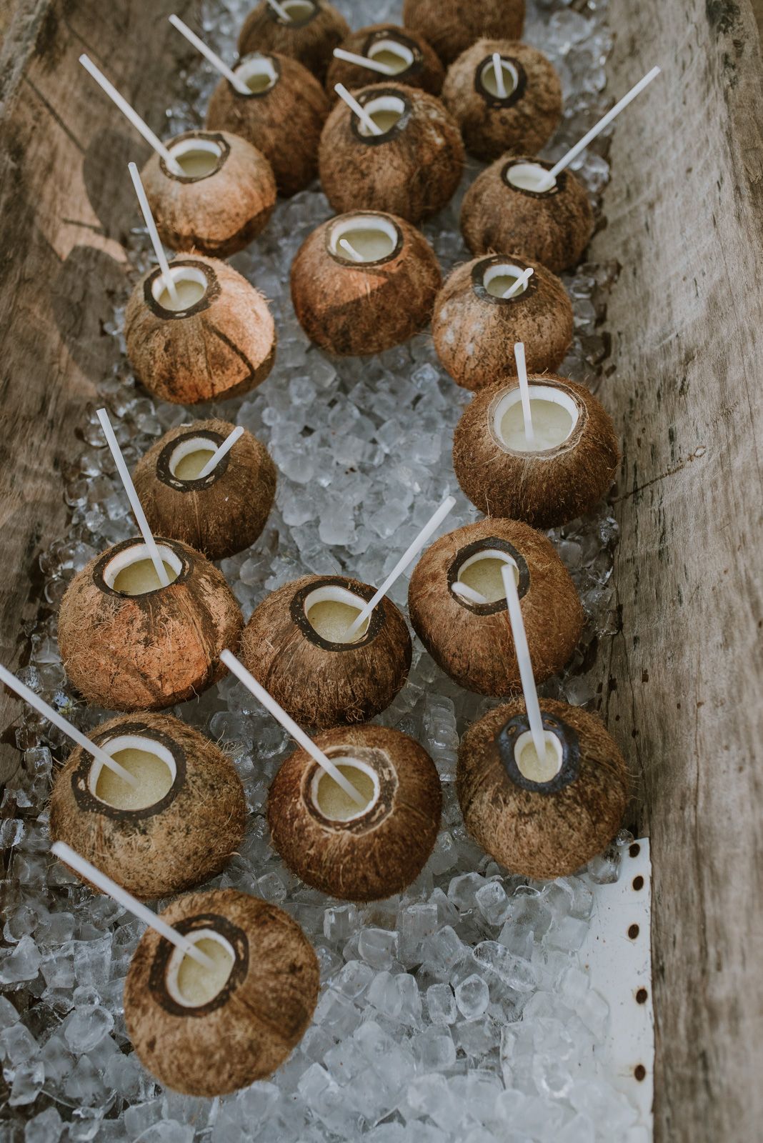 cocos servidos como refresco