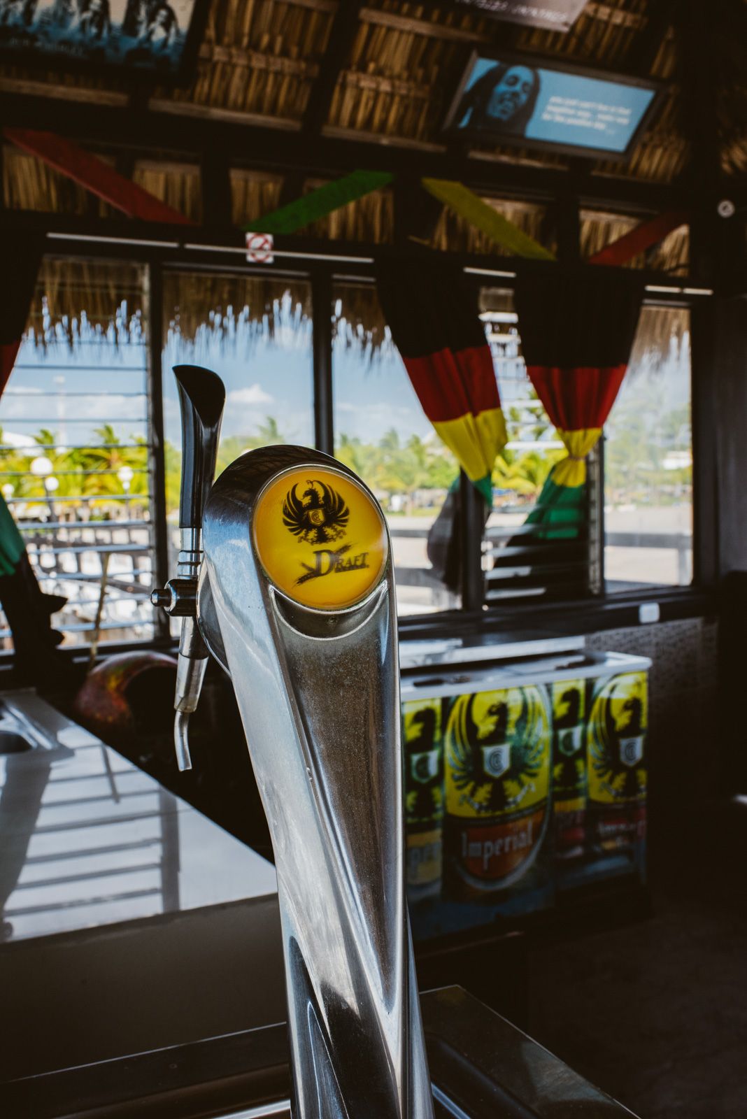grifo de cerveza del bar