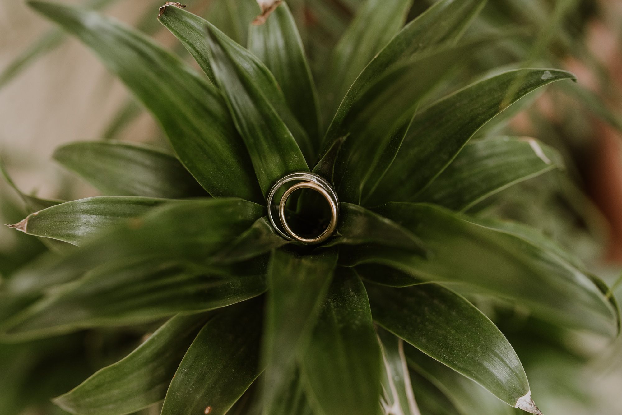 Fotografías de boda en Antigua Guatemala