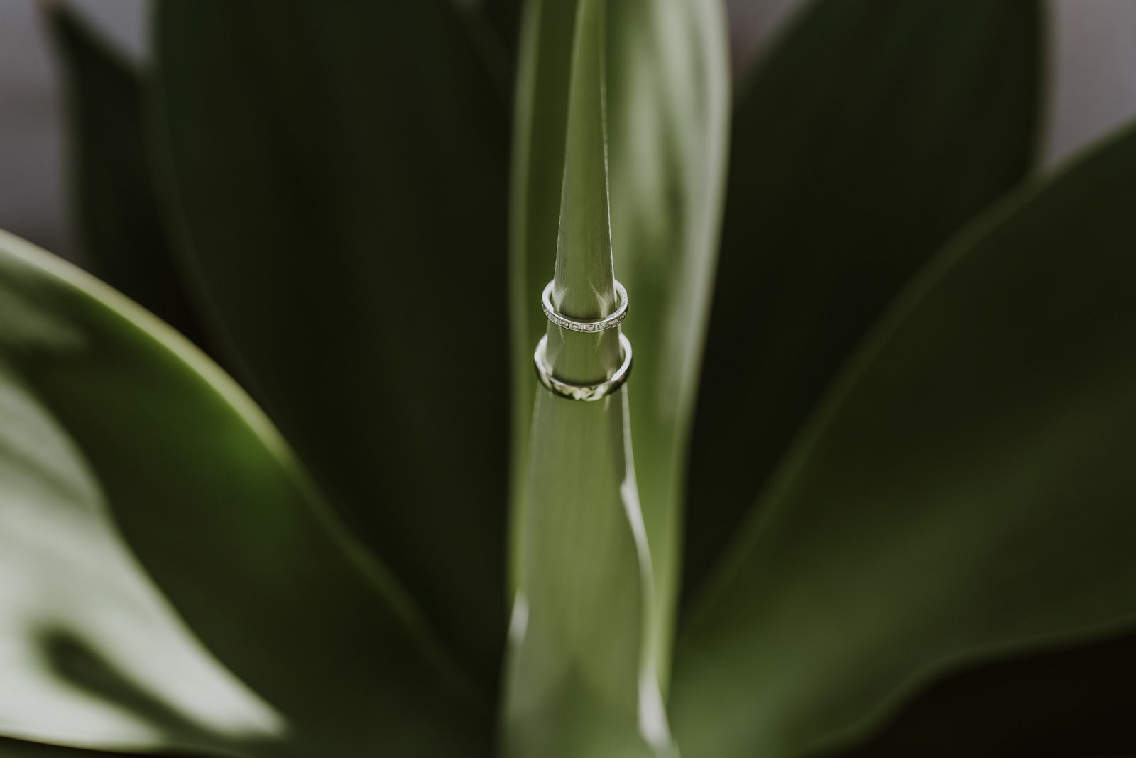 fotografía artística de boda