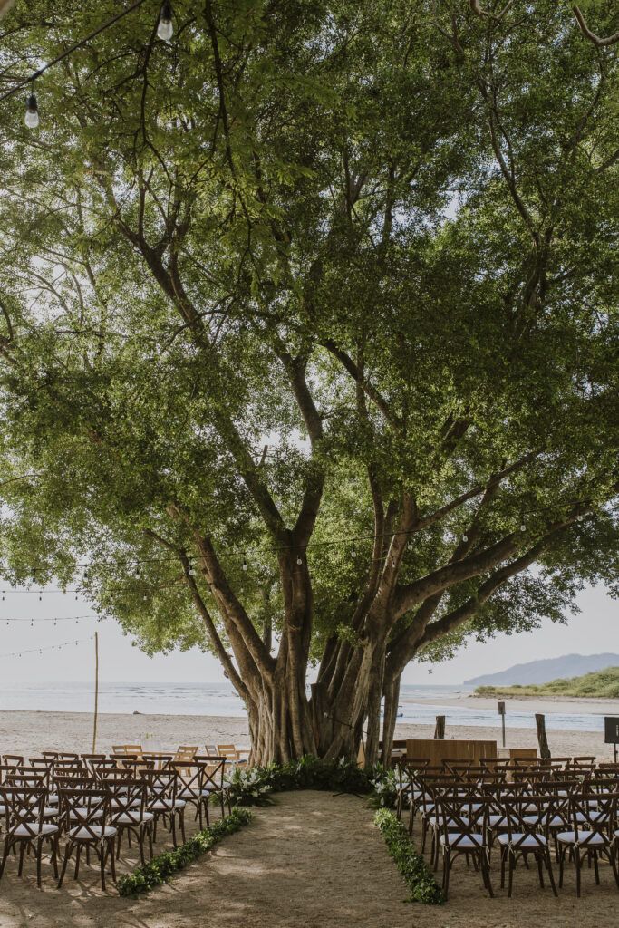 Ceremonia de boda preparada bajo un gran árbol frente al mar en Costa Rica